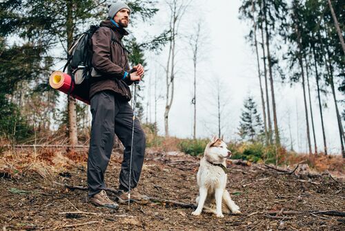 Sawyer Vs Lifestraw Which Water Filter Is Better sawyer-vs-lifestraw-which-water-filter-is-better