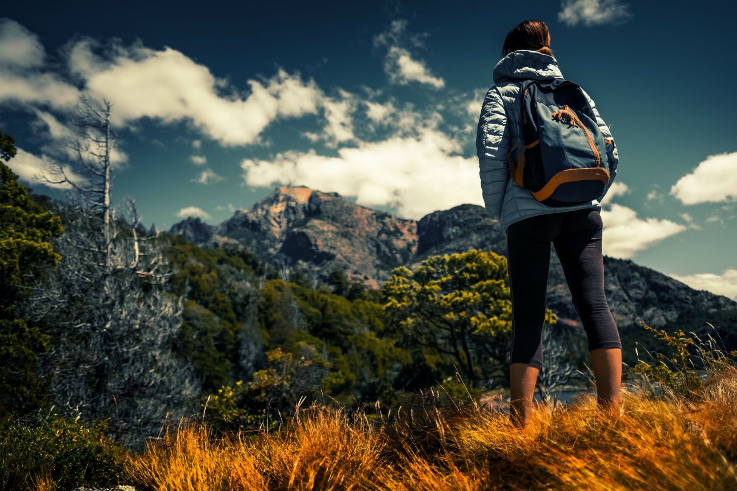 The Best Backpacks for Day Hikes